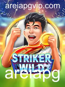 Descubra as Aventuras e Regras do StrikerWILD
